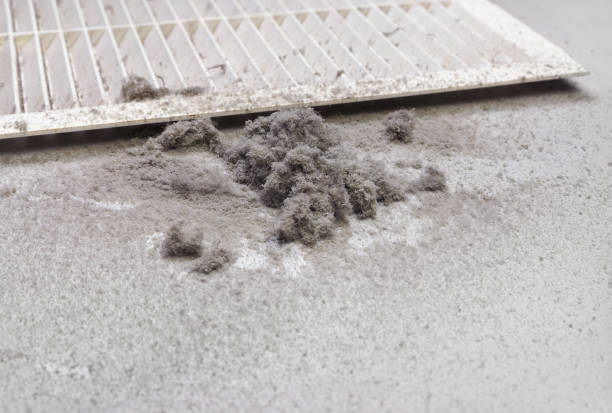 Best Residential Air Duct Cleaning  in Rushville, NE